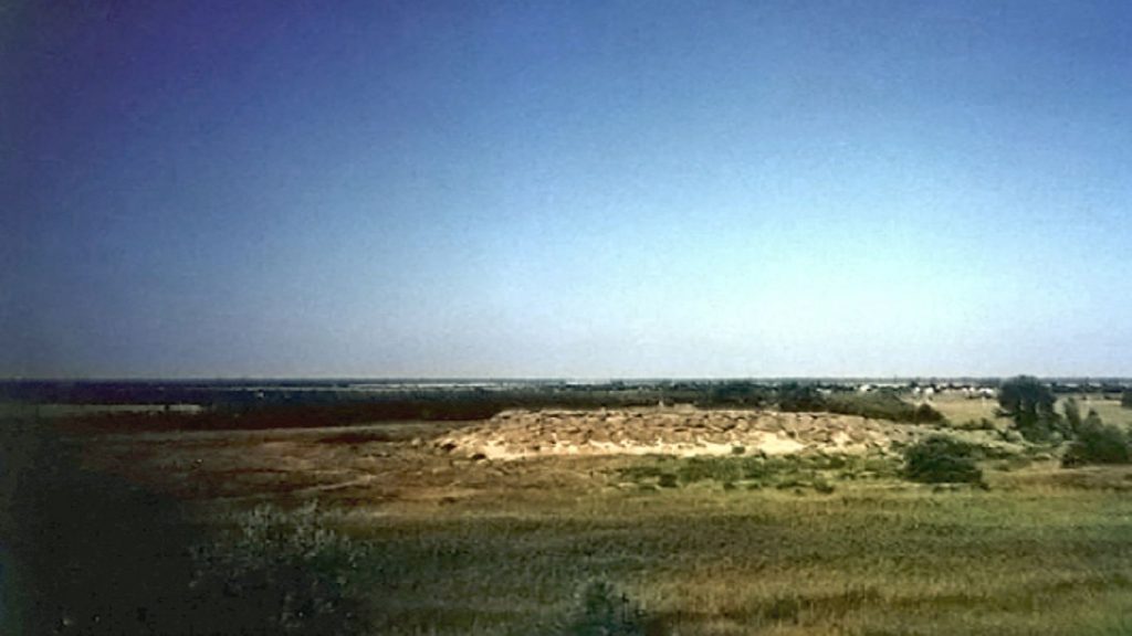 Стратегическая ошибка Украины и судьба Сашка Билого