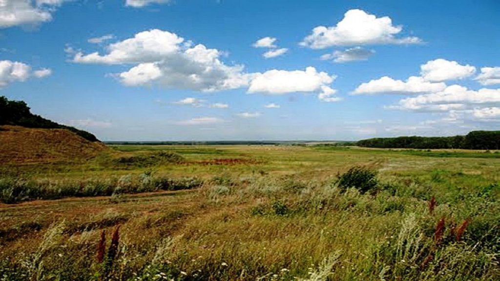 Дикое Поле - будущее Донбасса