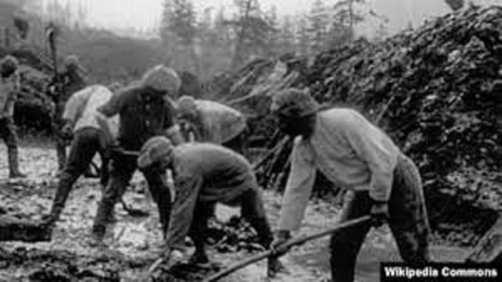 "Сиди и работай". Возвращение ГУЛАГа в 21 веке