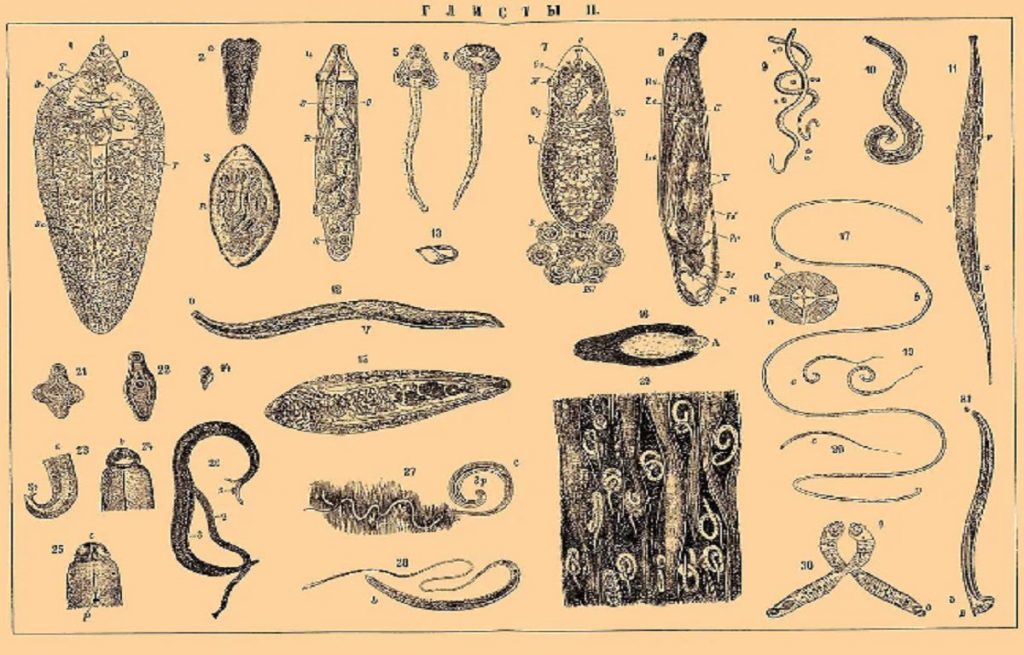 Почему представители власти делают провокационные заявления